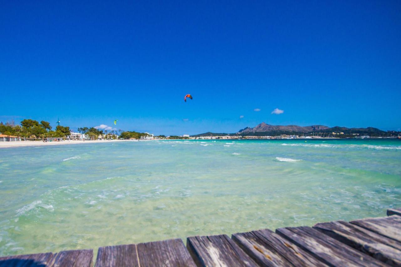 Ideal Mallorca - Gaviotas *